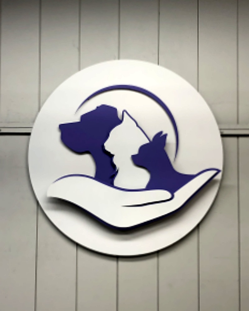 The Neighborhood Vet single layer custom vet sign