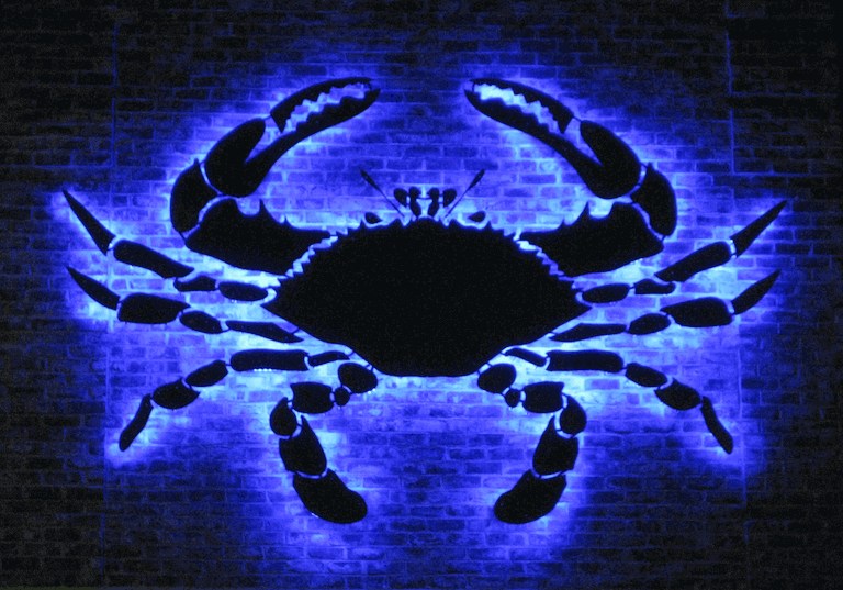 Illuminated Crab Custom Business Signage Frederick MD